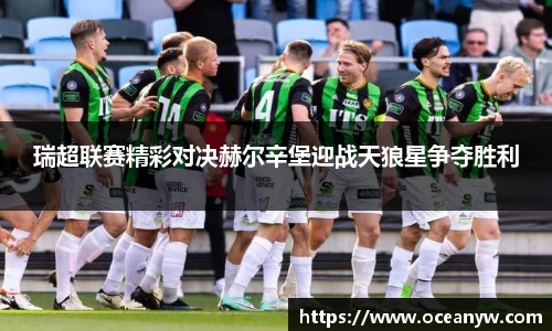 瑞超联赛精彩对决赫尔辛堡迎战天狼星争夺胜利